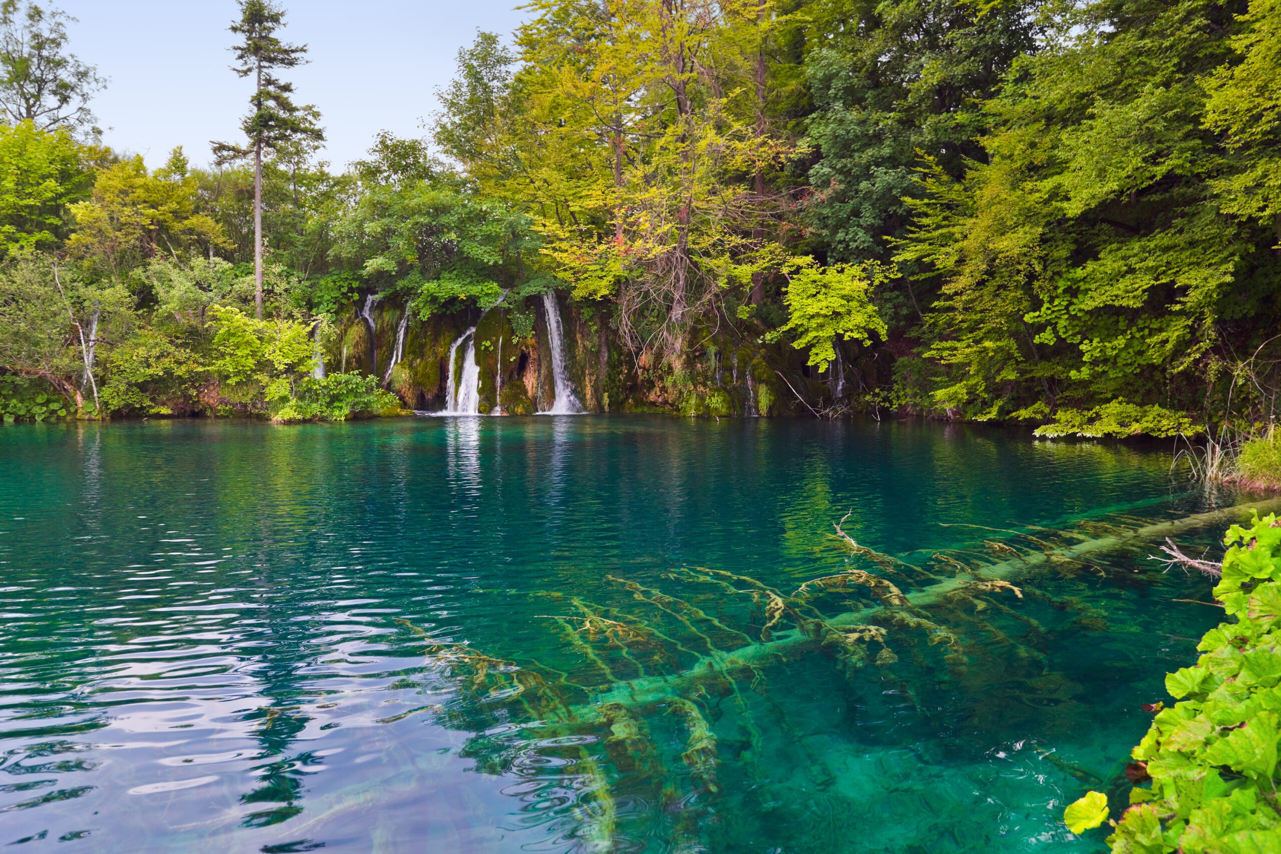 Plitvice lakes in Croatia - nature travel background