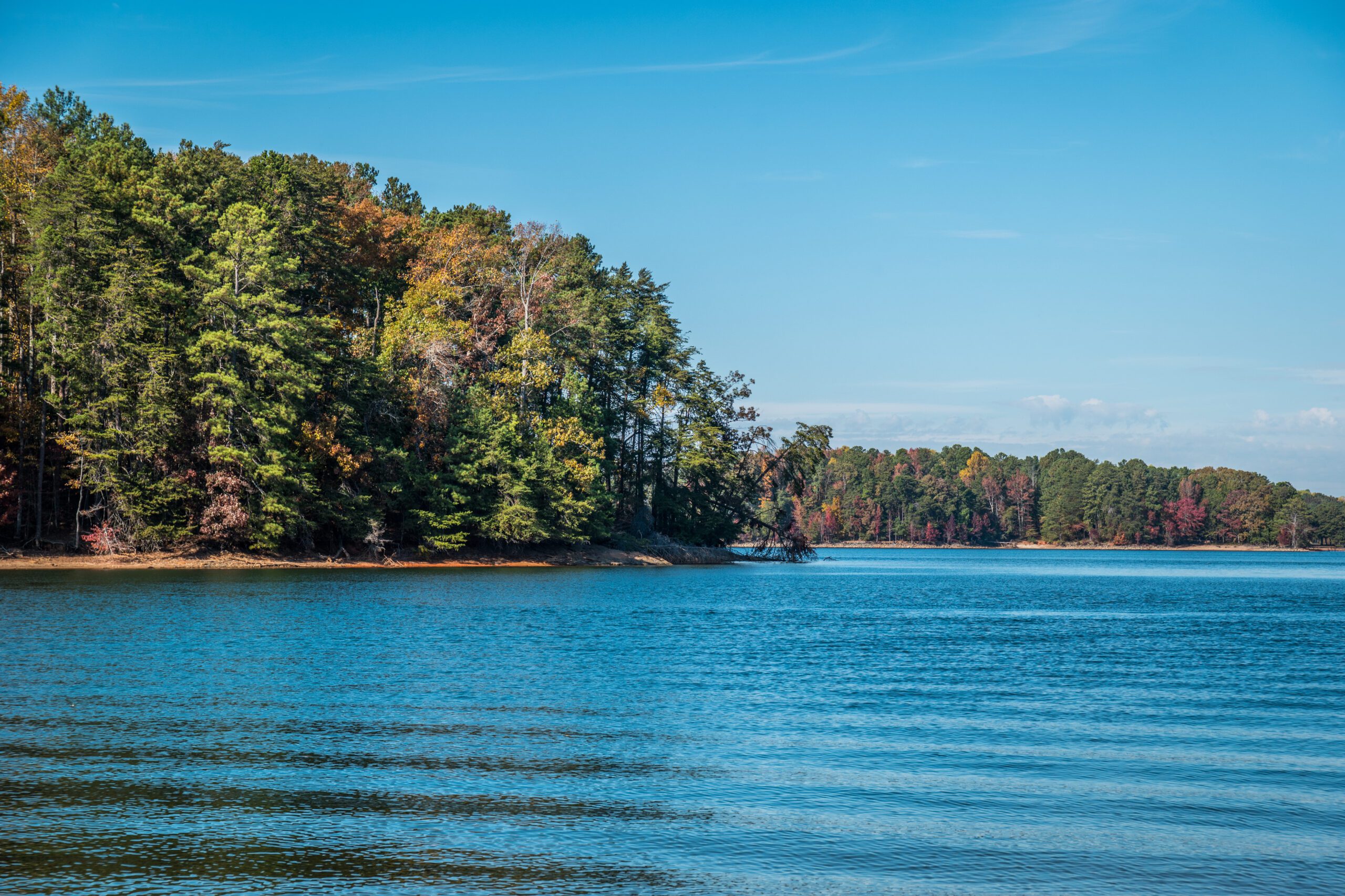 Beautiful Autumn Color in the Woodlands at the Lake on a Bright Warm Day in Fall.