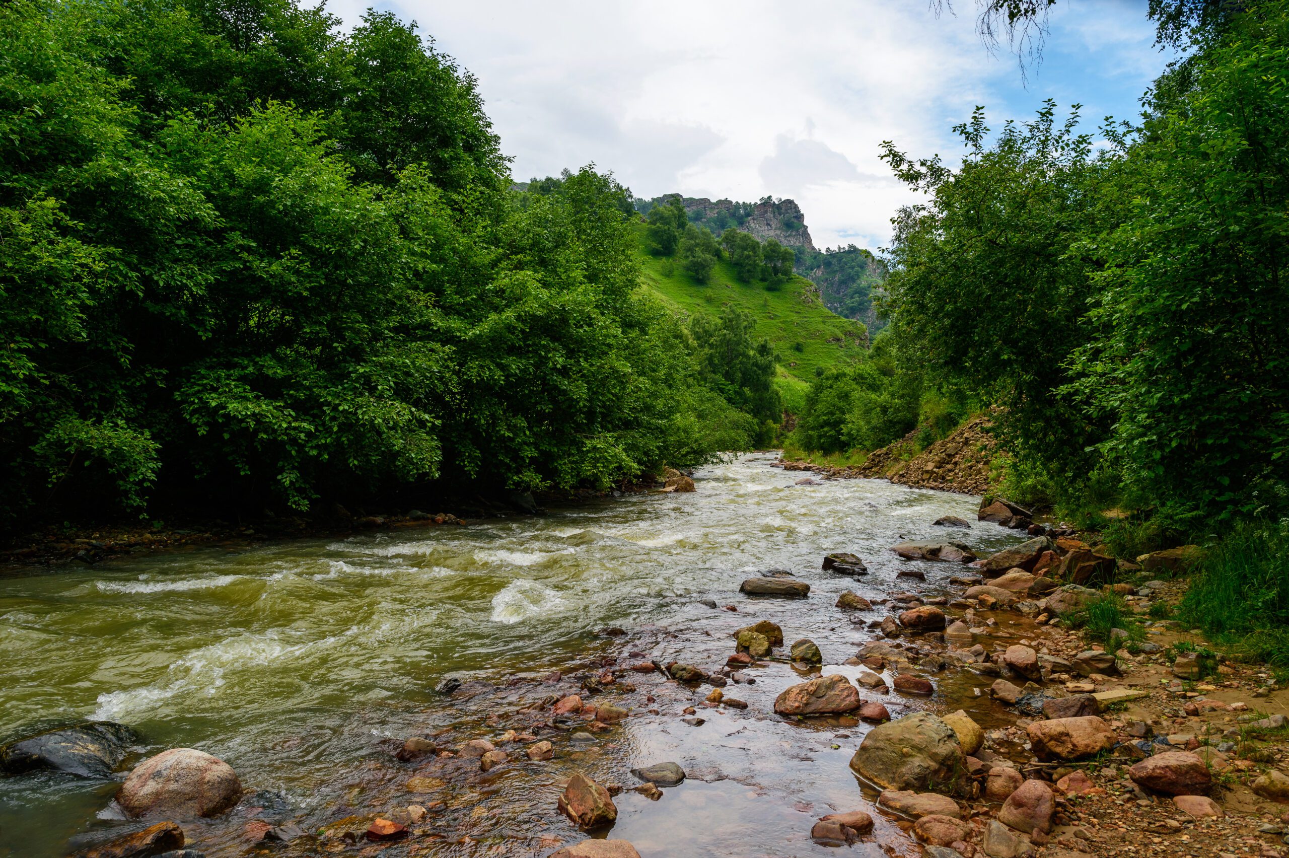Amazing Natural View of Fast Mountain River Surrounded by Green Forest With Sky as a Background. Nature River Landscape Perspective.